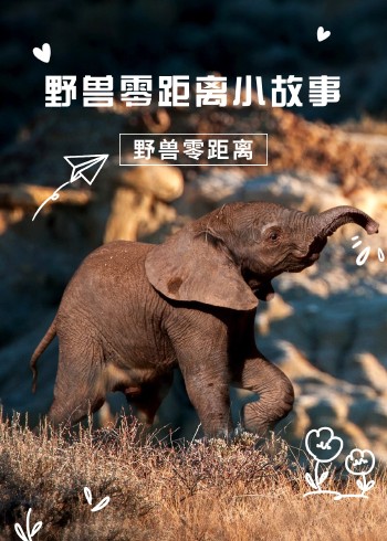 野兽零距离小故事