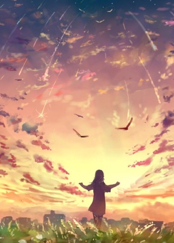 高分记录片合集