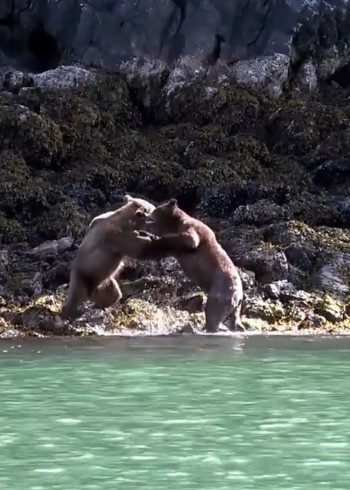 卡拉米探大自然