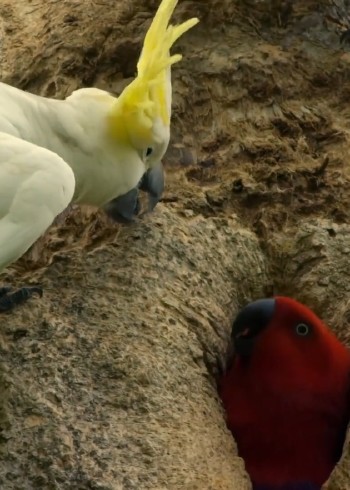 动物大世界，不一样的视角体验