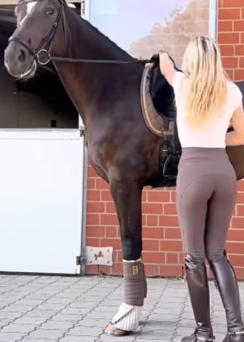 感人肺腑的动物小故事