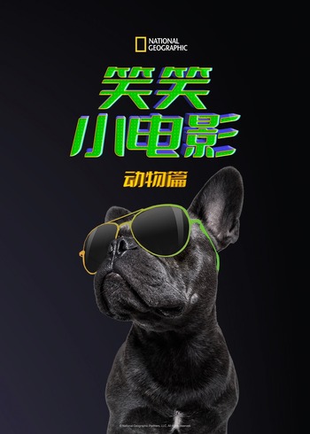 笑笑小电影动物篇