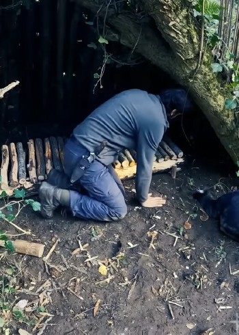 象瘾荒野求生记录片