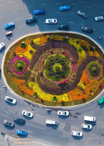 和谐社会，百态人间