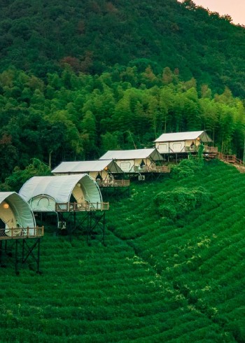 户外特色美食，户外探险