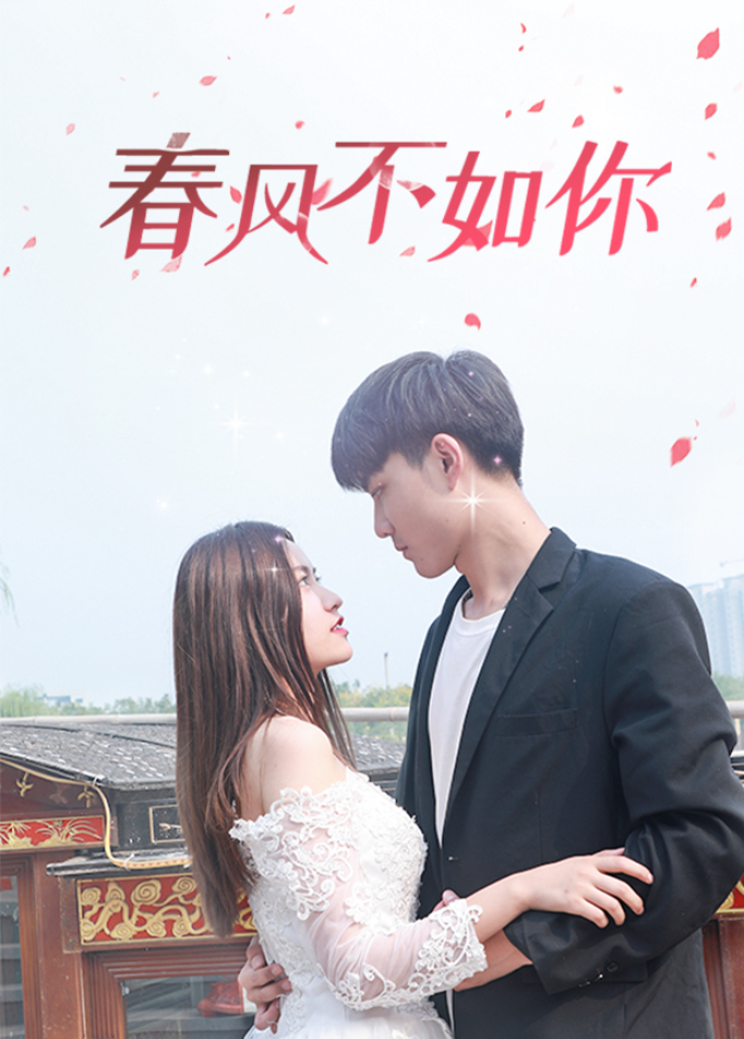 春风不如你