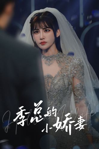 季总的小娇妻