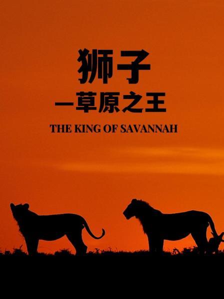 狮子草原之王