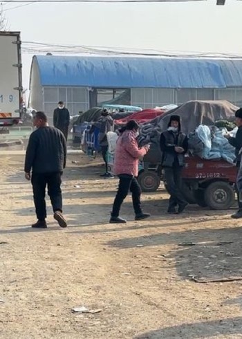 你看不到的人间百态