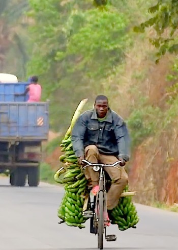 不可思议的旅程，看遍世界奇闻异事
