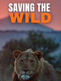 拯救野生动物第2季