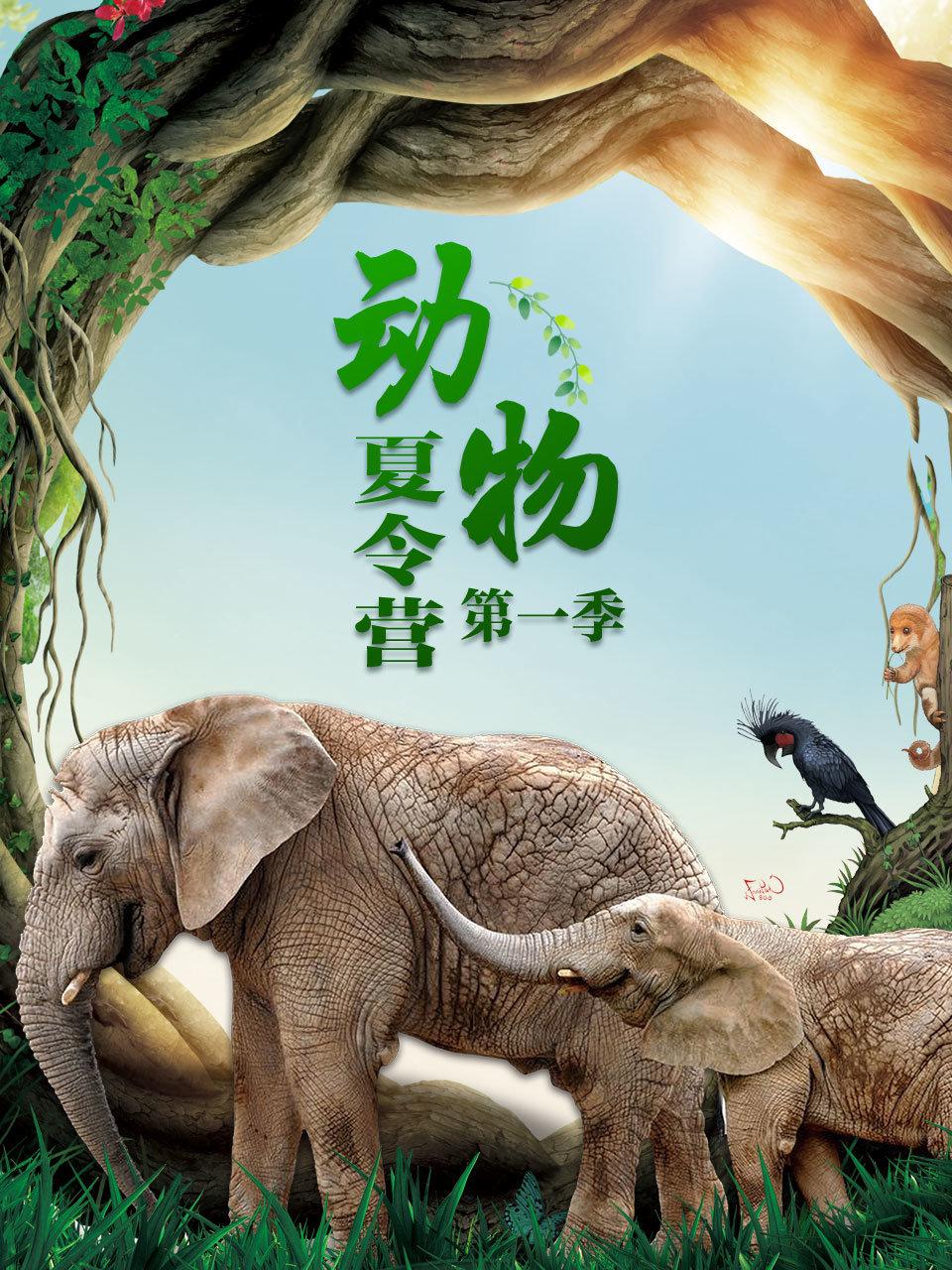 动物夏令营第1季