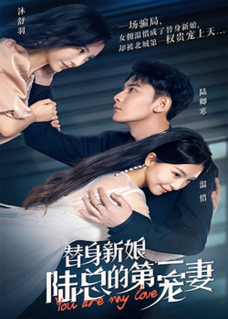 替身新娘陆总的第一宠妻