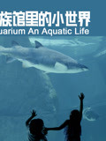 水族馆里的小世界