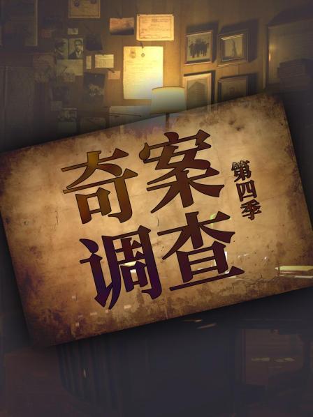 奇案调查第4季