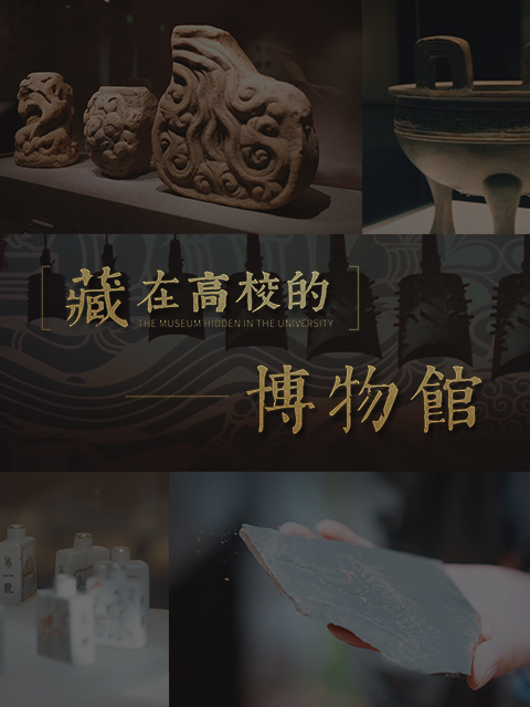藏在高校的博物馆