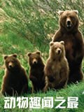 动物趣闻之最
