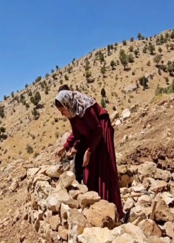 伊朗游牧民的生活