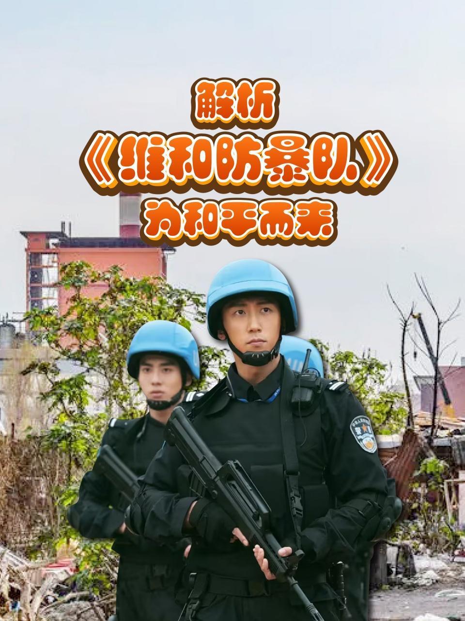 解析《维和防暴队》为和平而来
