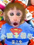 小猴子萌可第2季