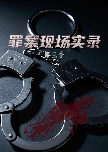 罪案现场实录第3季