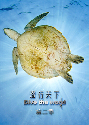 潜行天下第2季