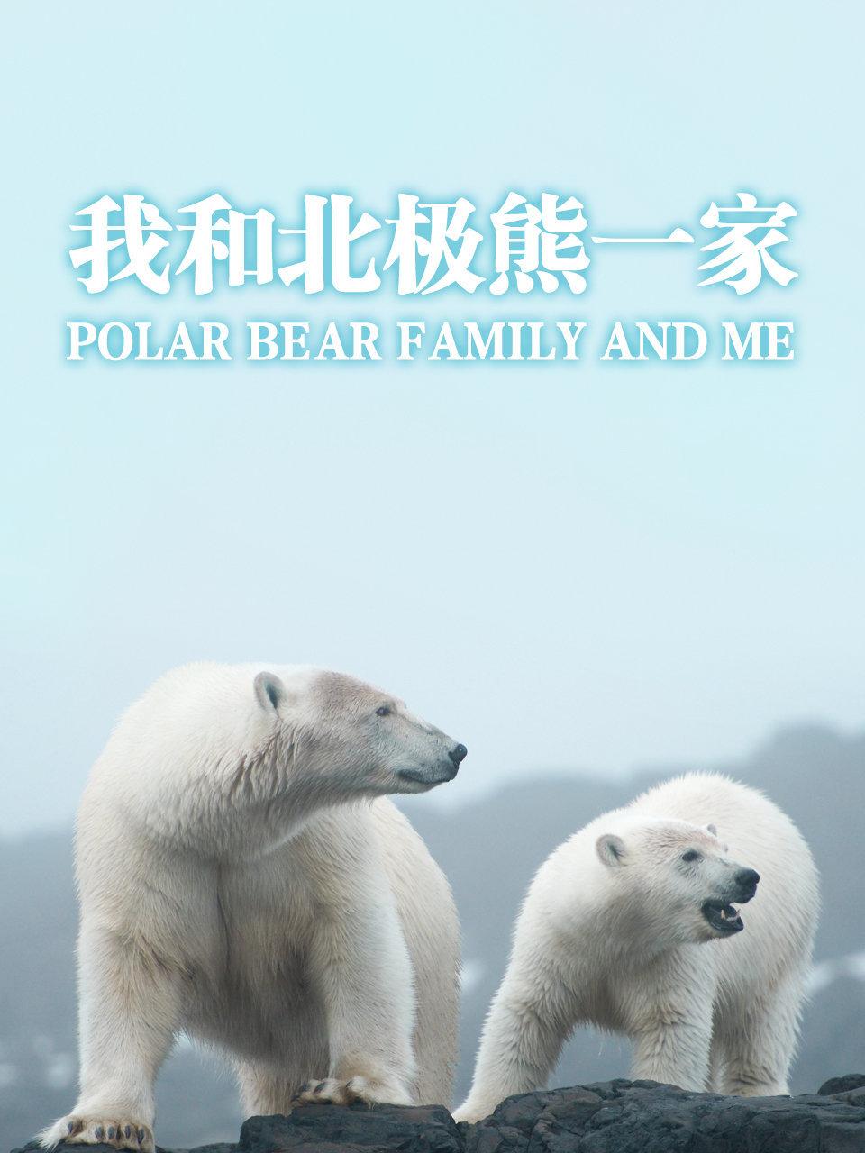 我和北极熊一家