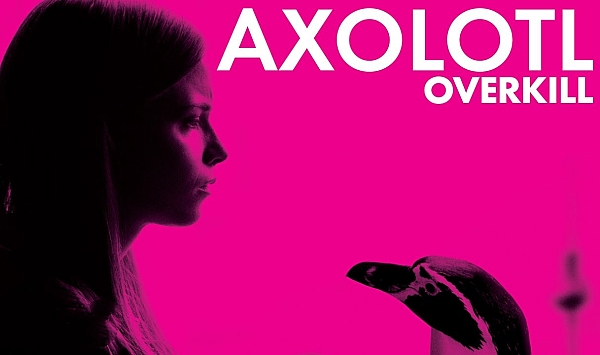 蝾螈的多重杀伤力