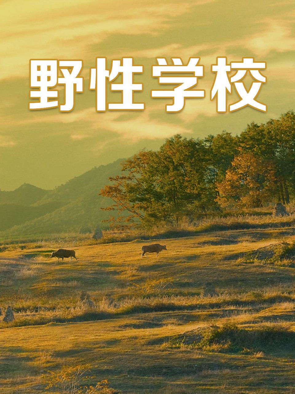 野性学校