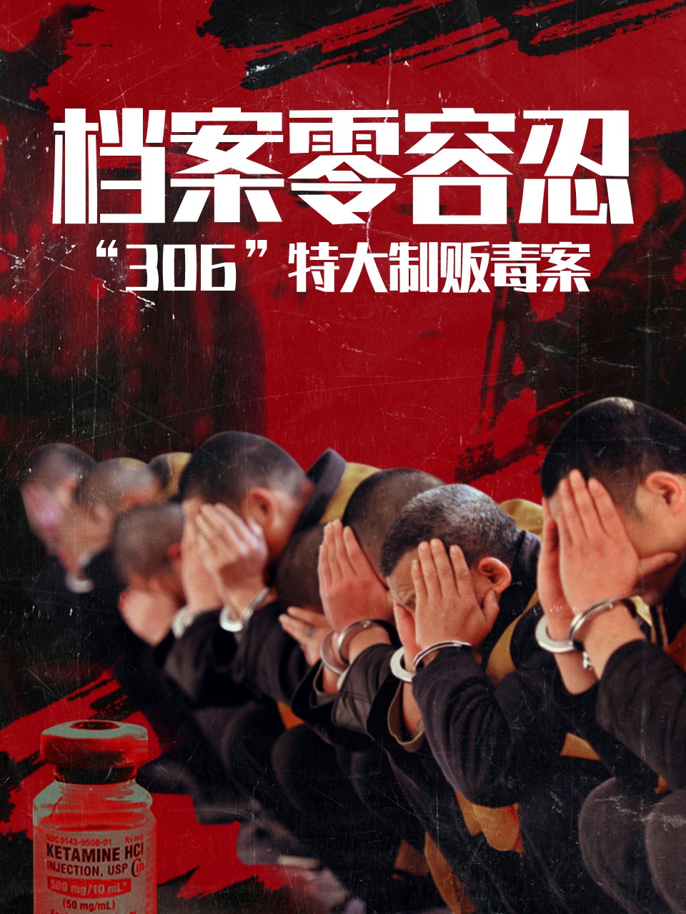 档案零容忍“306”特大制贩毒案