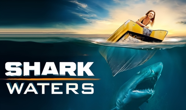 鲨鱼之水