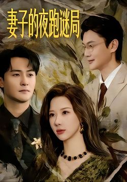 妻子的夜跑谜局