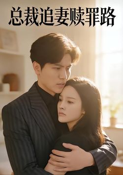总裁追妻赎罪路