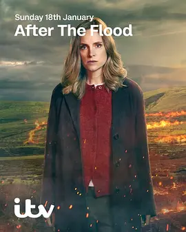 洪水之后第2季