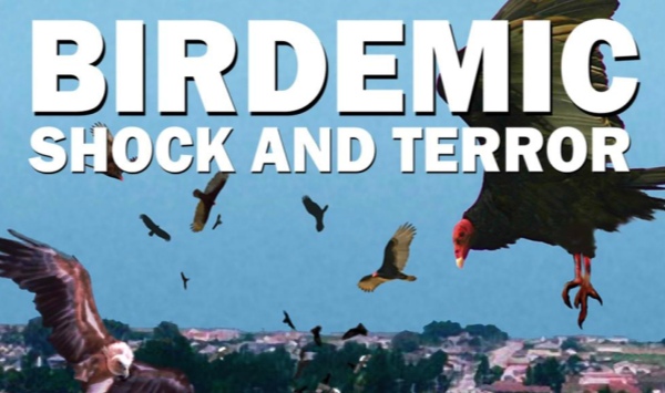 群鸟震惊和恐怖