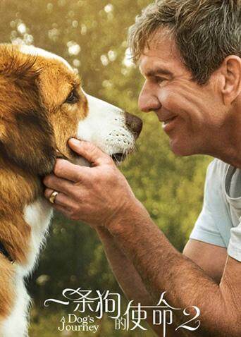 一条狗的使命2普通话版