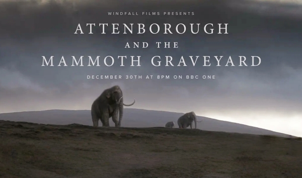 爱登堡与猛犸墓地