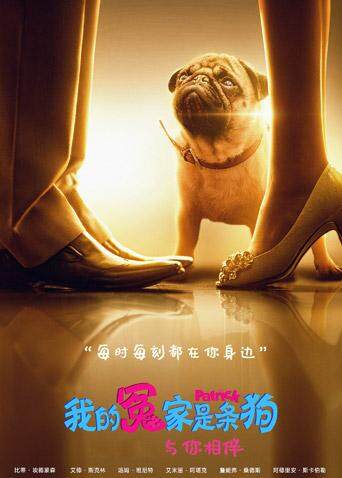 我的冤家是条狗普通话版