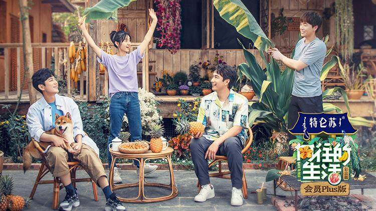 向往的生活4会员Plus版