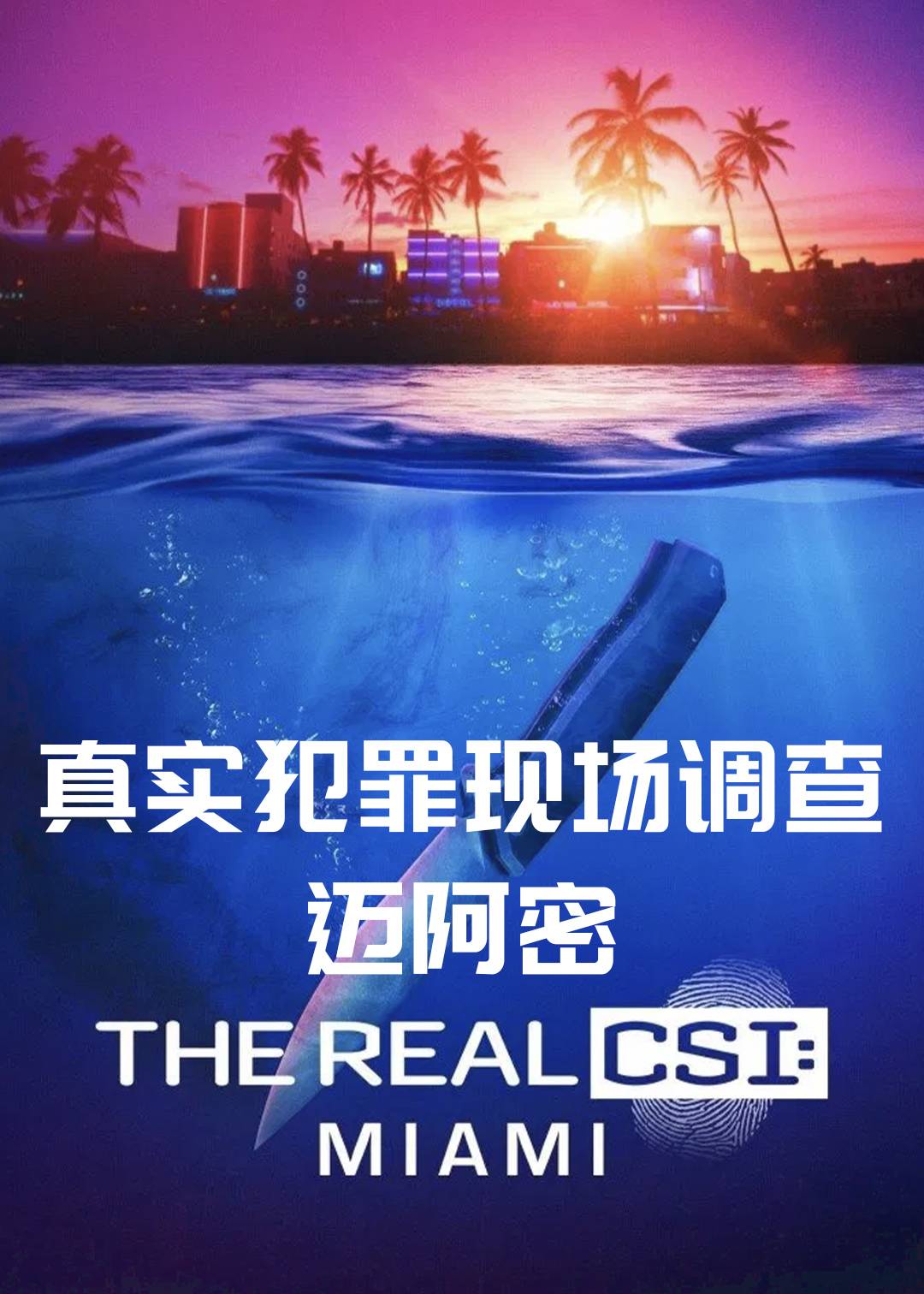 真实犯罪现场调查迈阿密