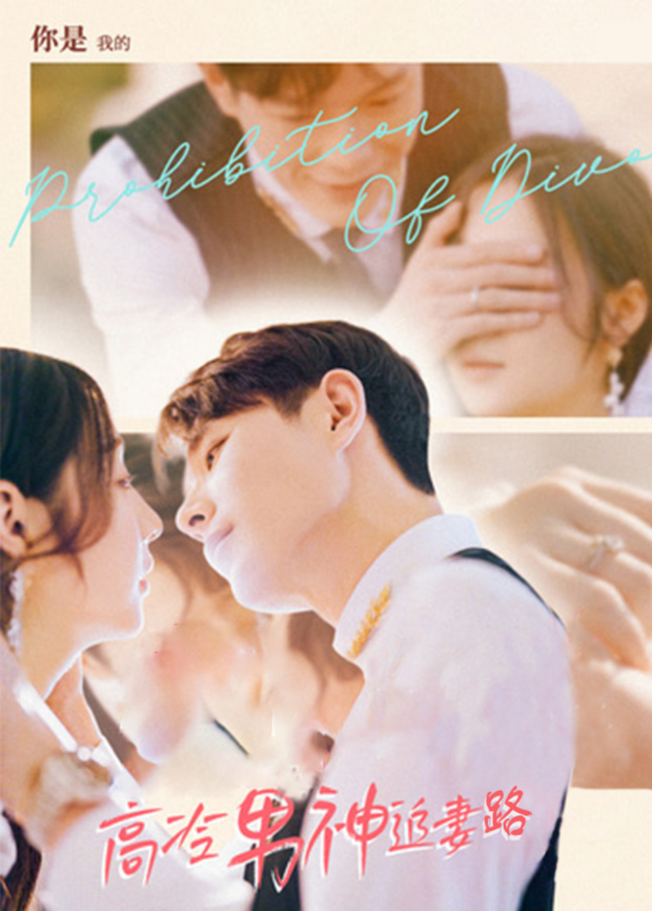 高冷男神追妻路