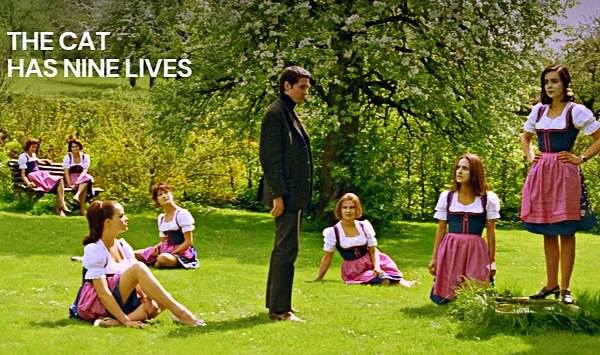 猫有九条命