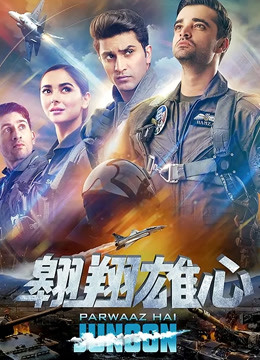 翱翔雄心国语版