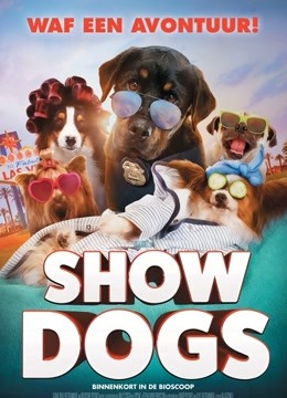 汪星卧底国语版