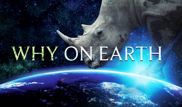 为什么在地球上