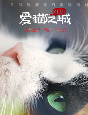 爱猫之城