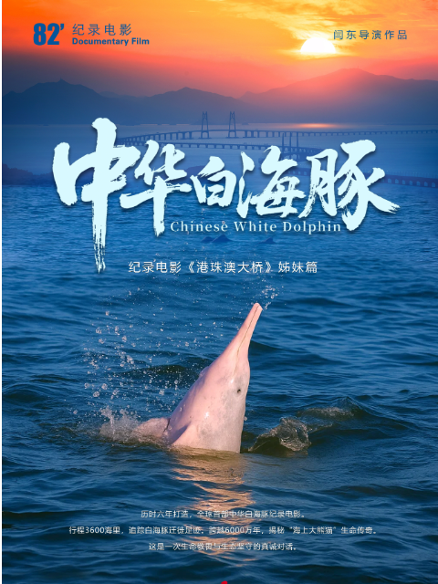 中华白海豚