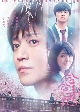 念念手纪普通话版