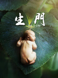 生门纪实剧网络版