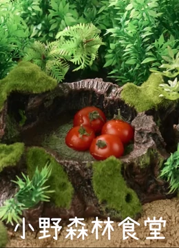 小野森林食堂